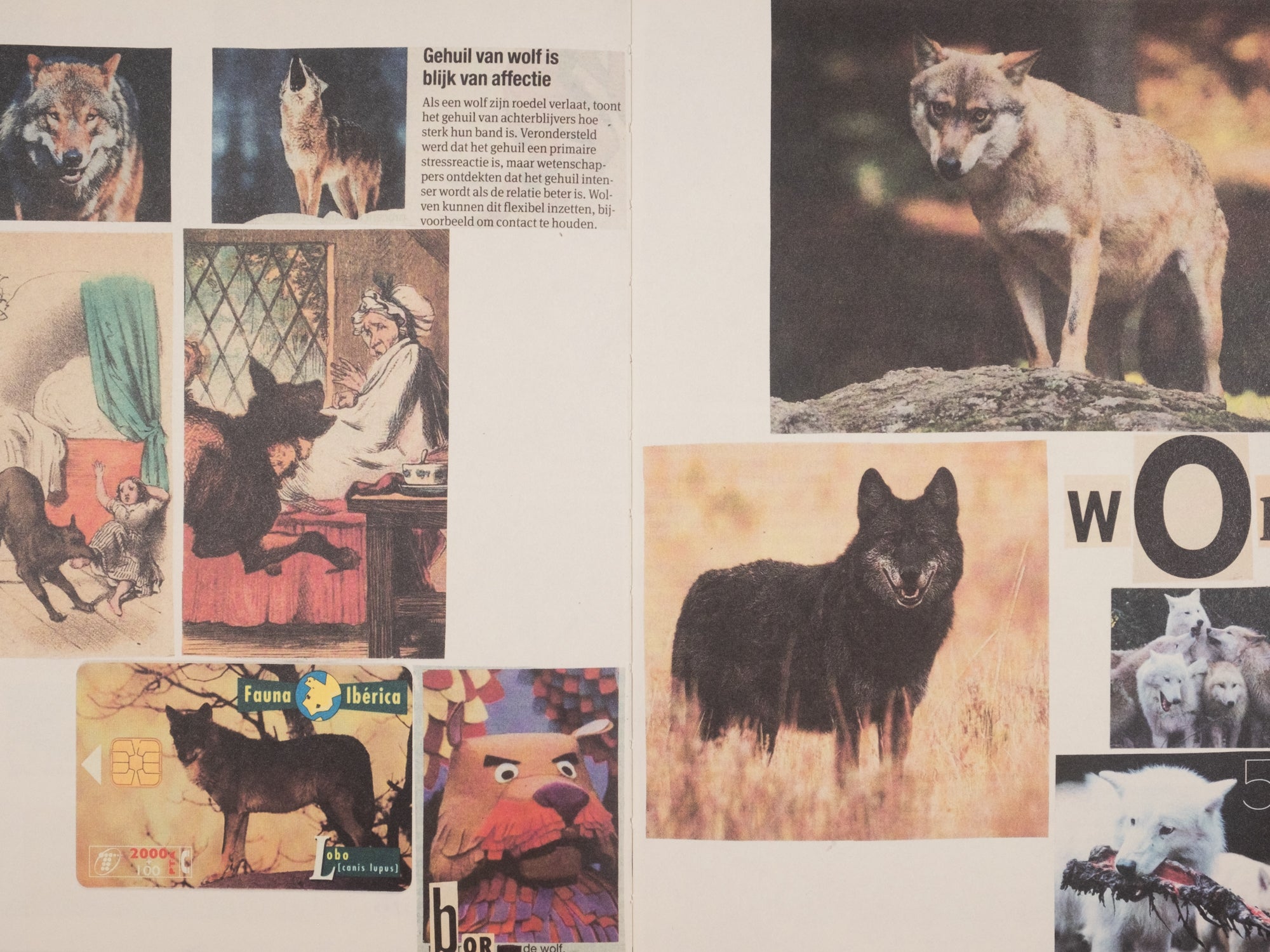 Lous Martens — Animal Books for Jaap, Zeno, Anna, Julian & Luca