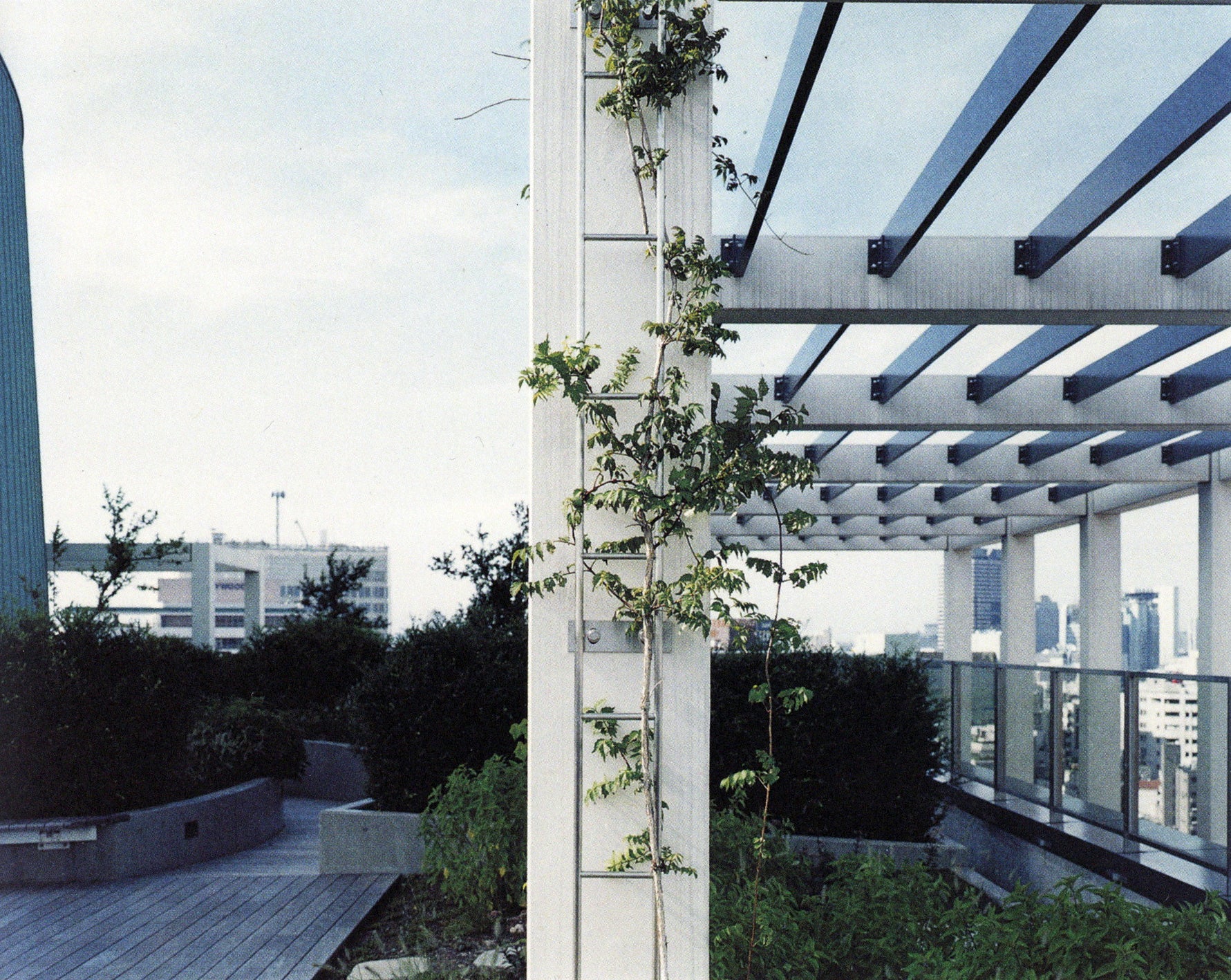 Takashi Homma — Tokyo