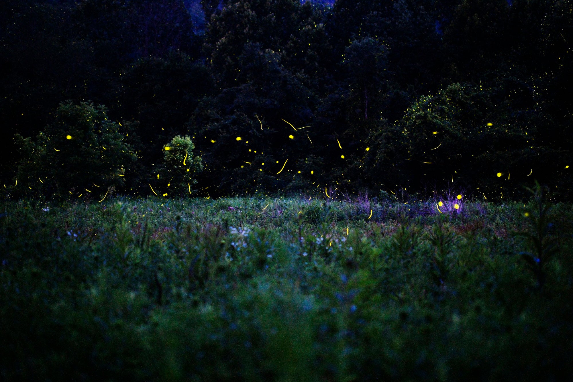 Samuel James — Nightairs