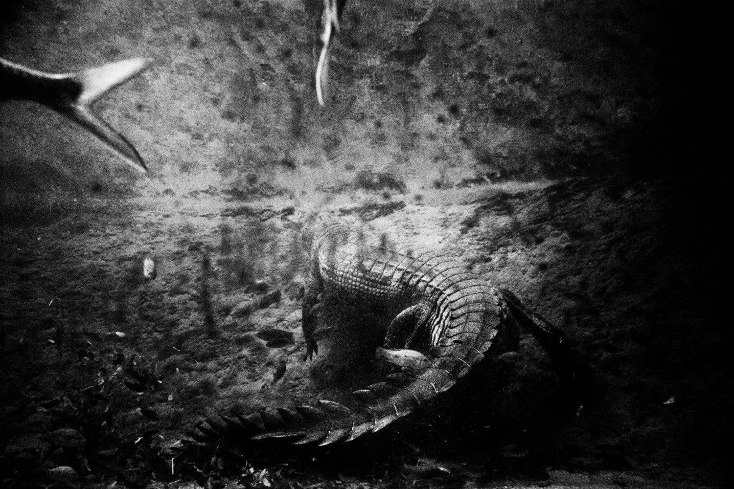 Sohrab Hura — Life is Elsewhere