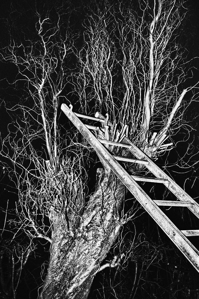 Anders Petersen & Jacob Aue Sobol — Veins