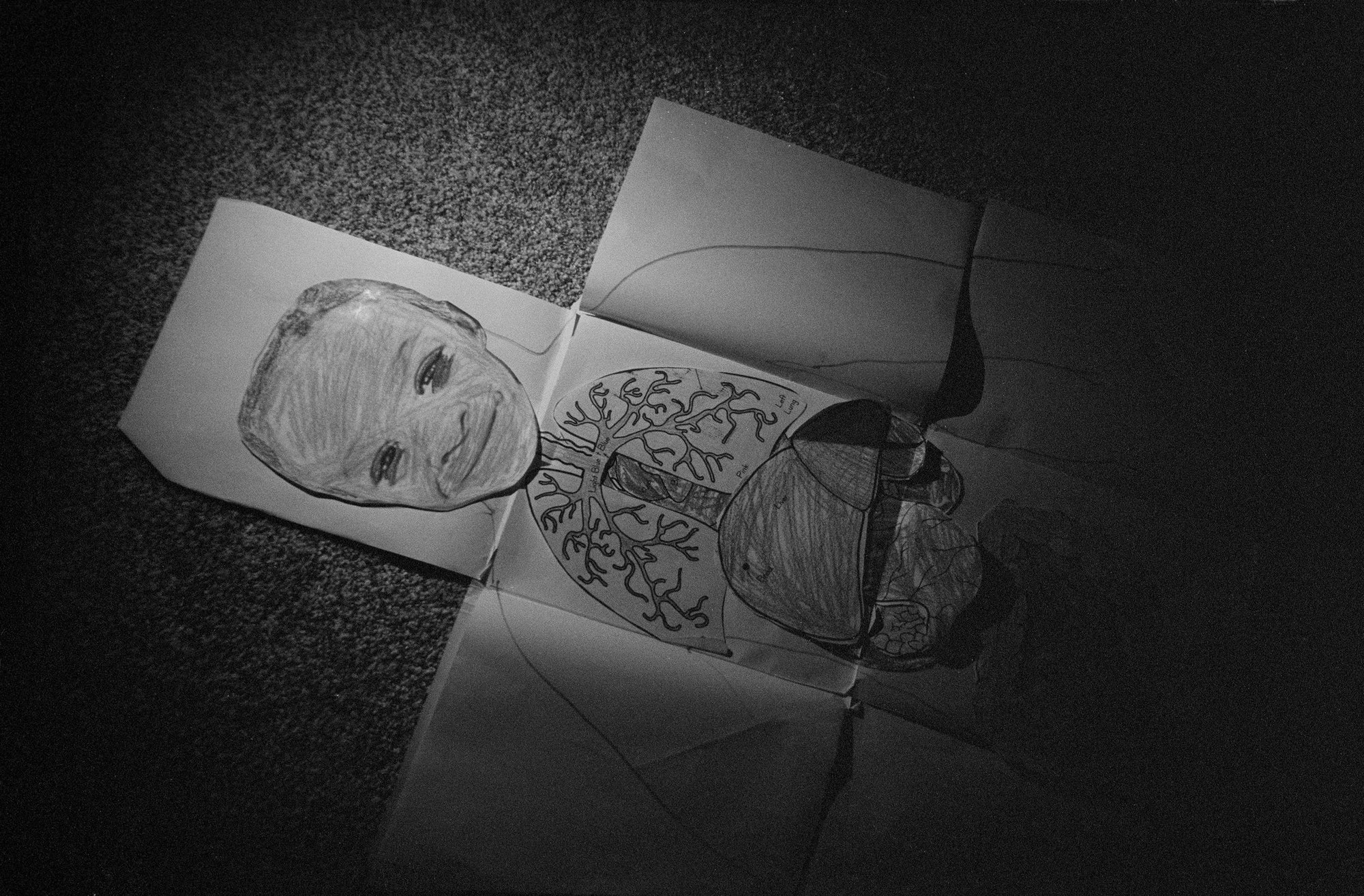 Jesse Lenz — The Seraphim