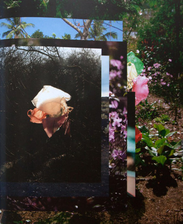 Elspeth Diederix — Things – As They Are