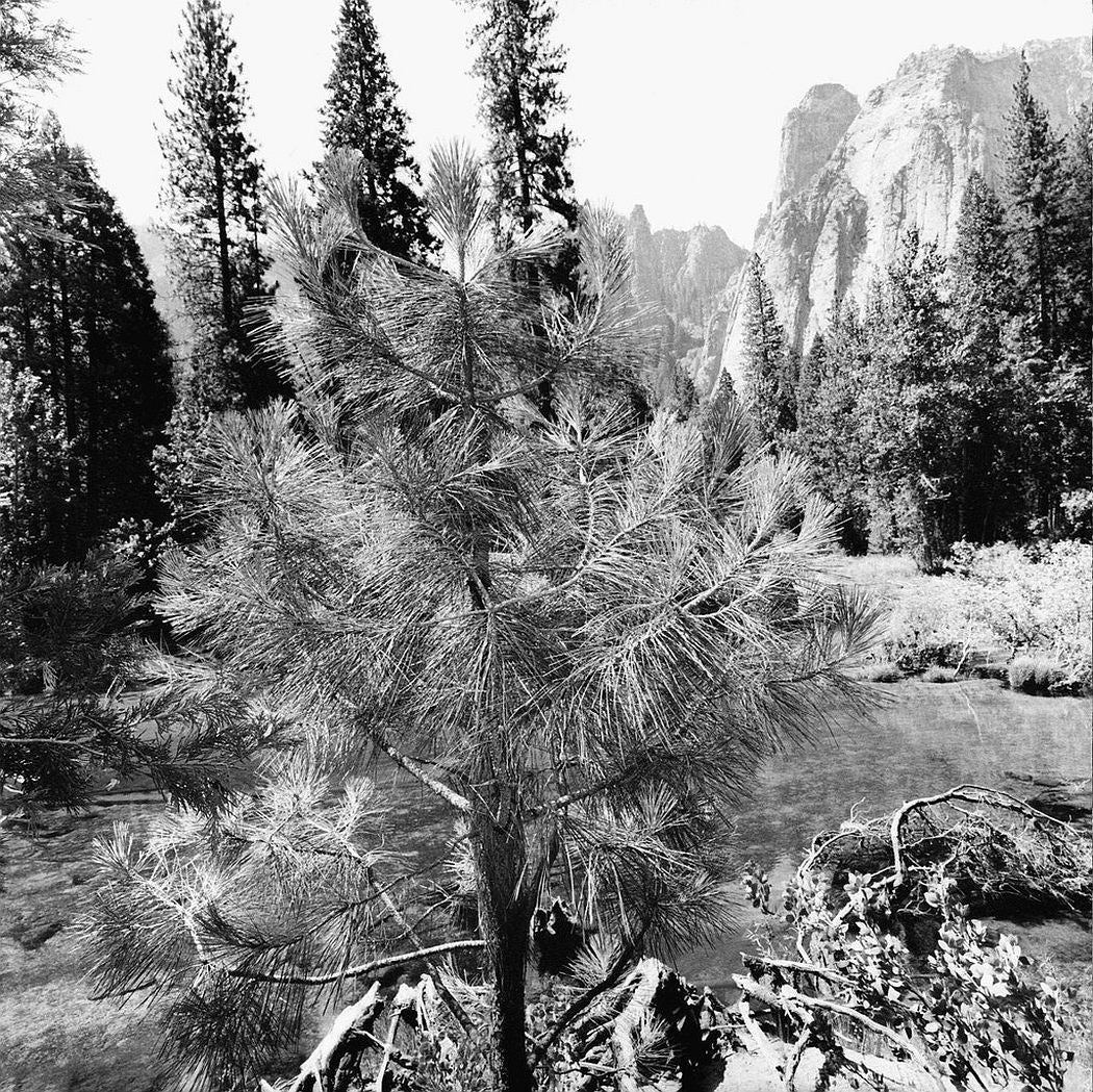 Lee Friedlander — Western Landscapes