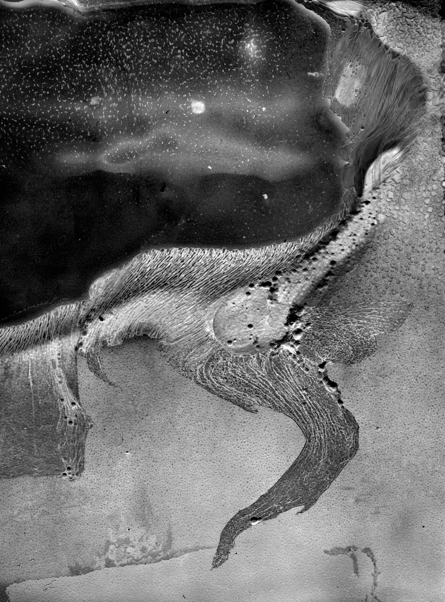 Daisuke Yokota — Matter / Burn Out
