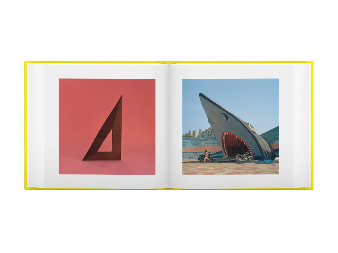 Jason Fulford & Tamara Shopshin — This Equals That