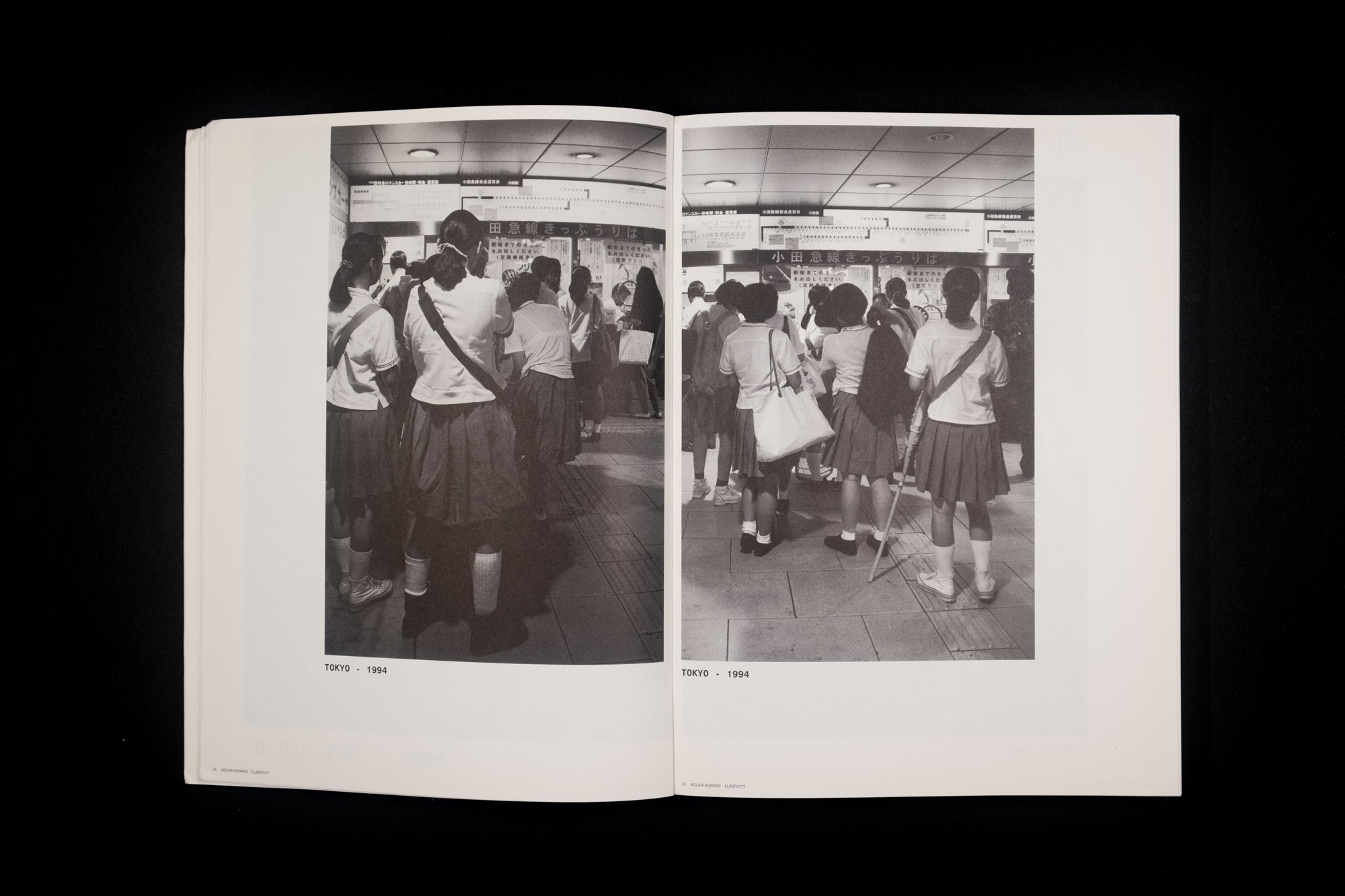 Aglaia Konrad — Elasticity