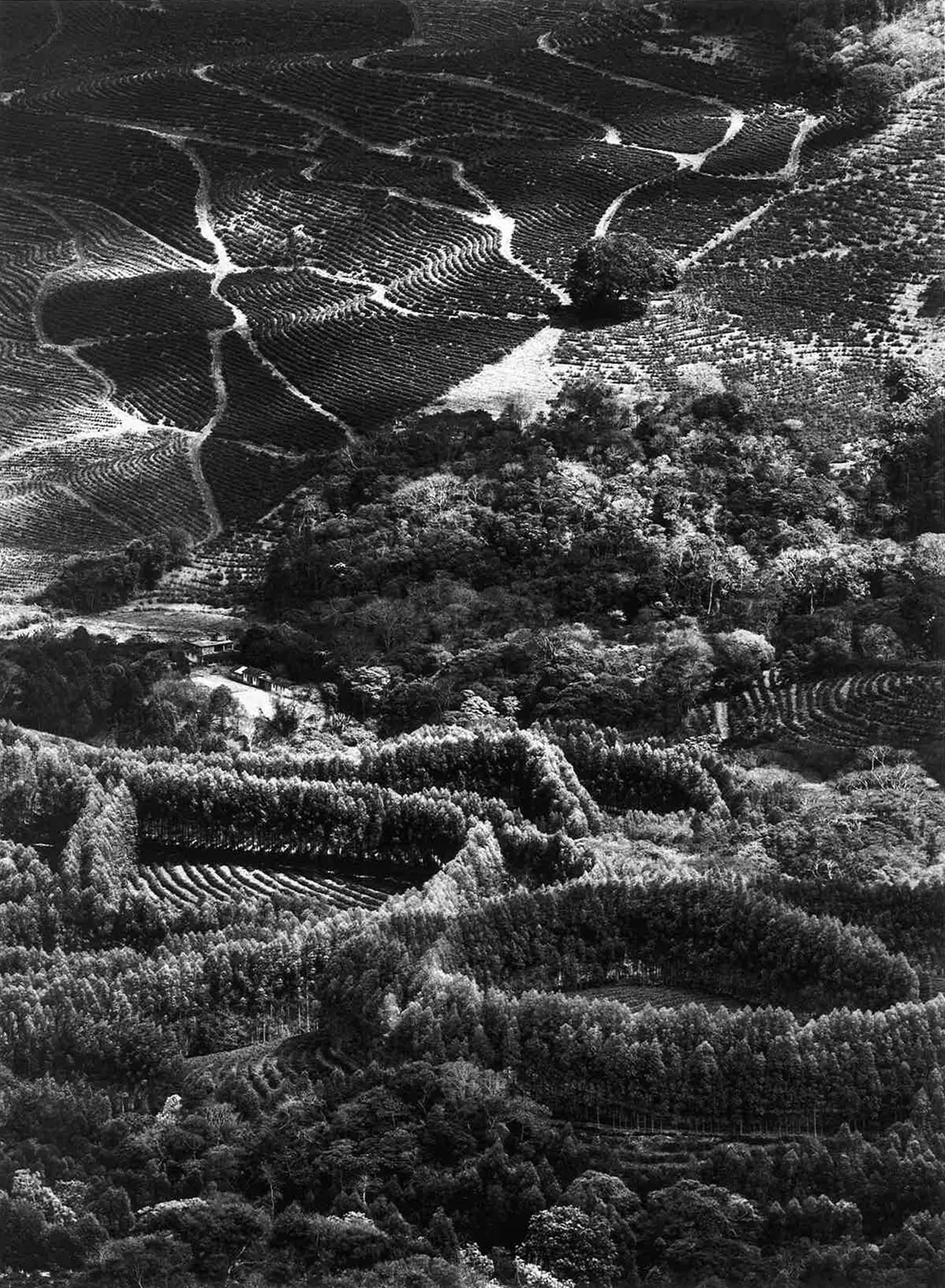 Sebastião Salgado — The Scent of a Dream