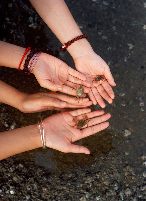 Marco van Duyvendijk — Het Lente-eiland