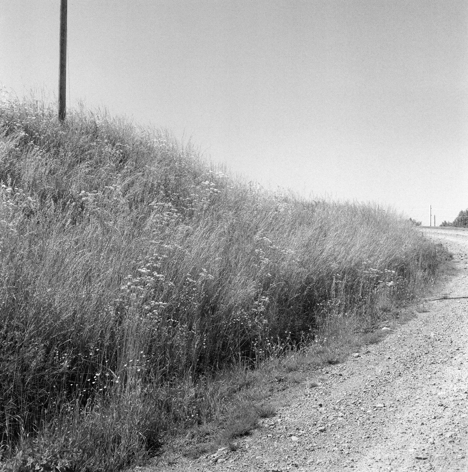 Gerry Johansson — Dalen