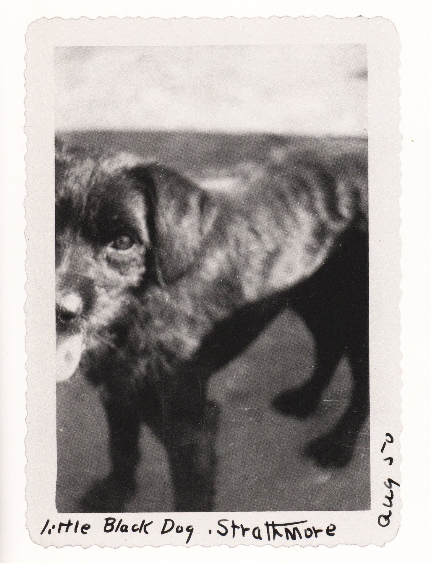 Michael Abrams — Strange and Singular