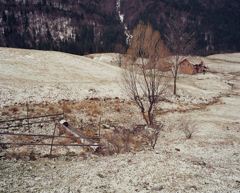 Clare Richardson — Beyond the Forest