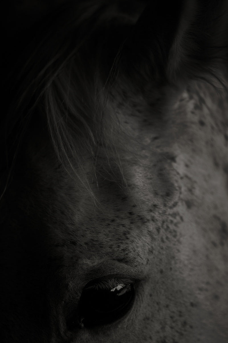 Bruce Connew — Body of Work