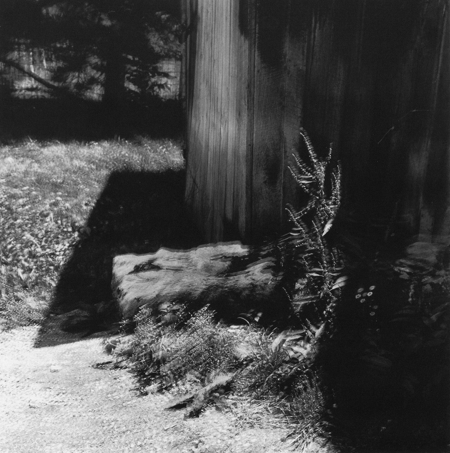 Ralph Eugene Meatyard — A Fourfold Vision