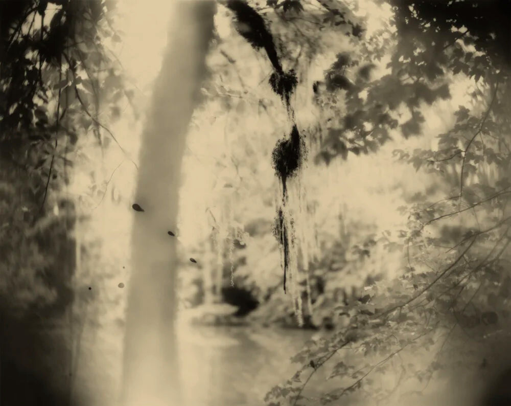 Sally Mann — Deep South