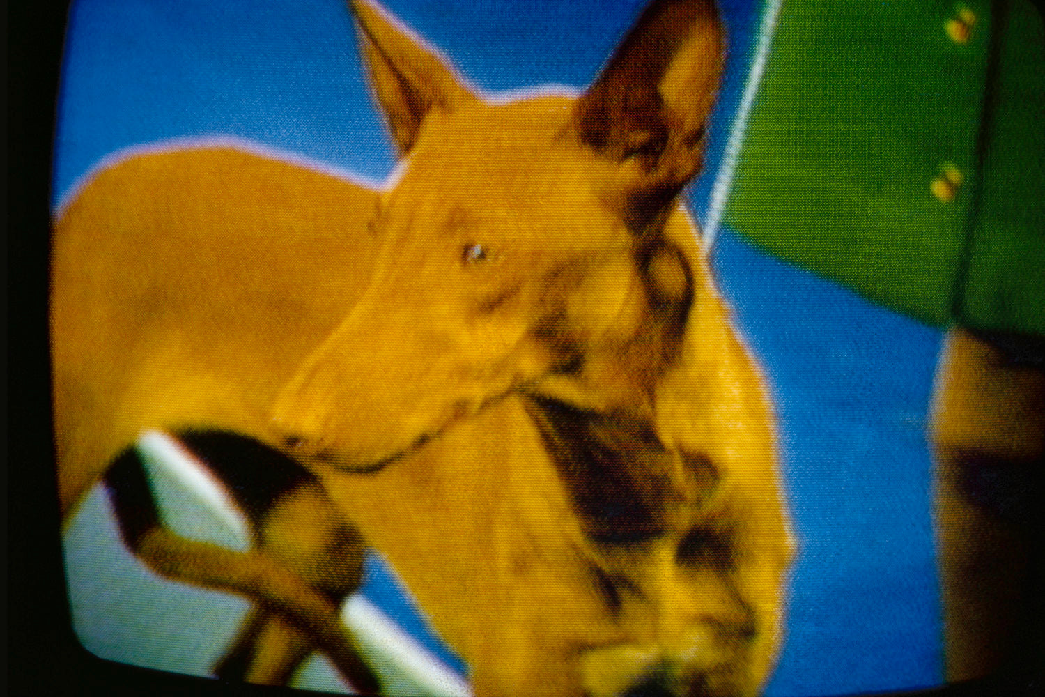 Harry Gruyaert — TV Shots