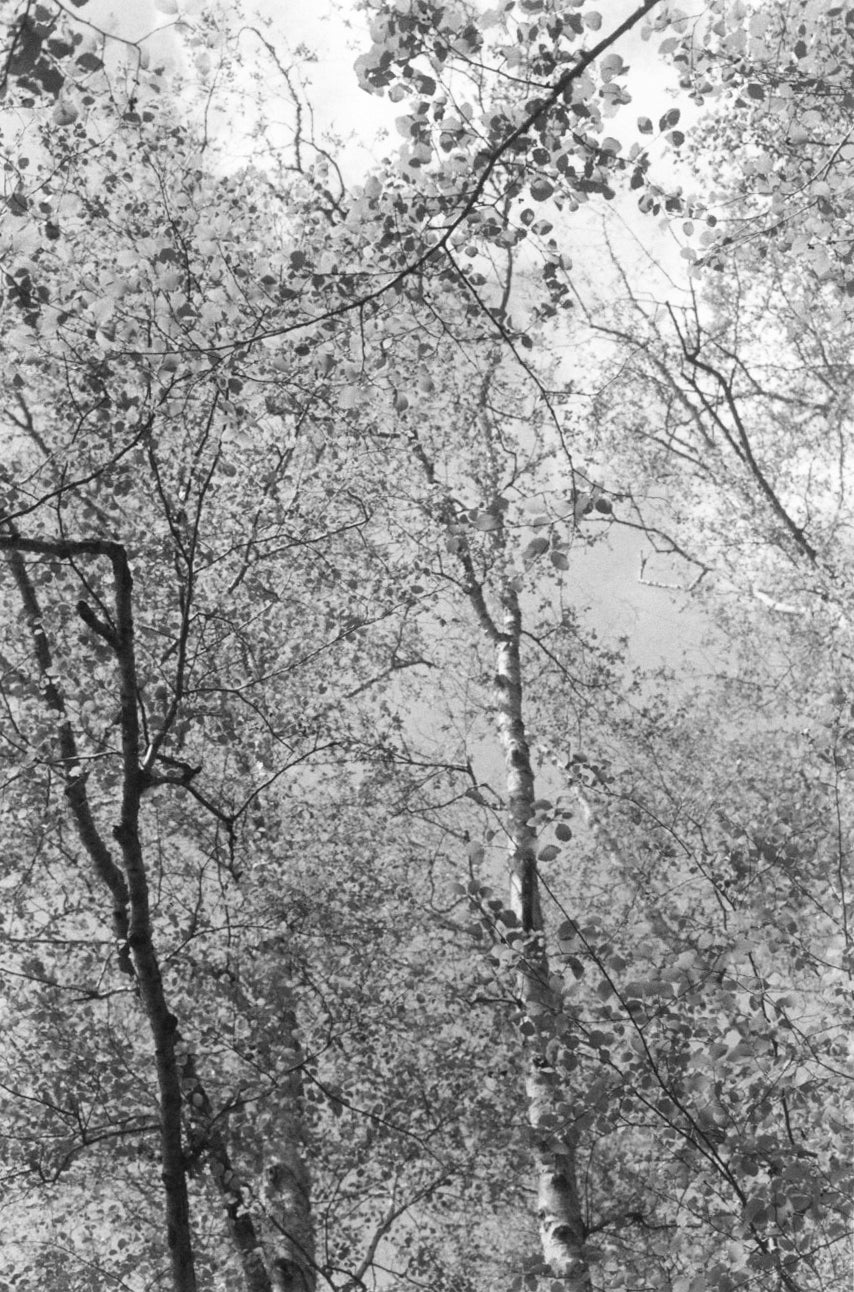 Robert Adams — Sea Stories