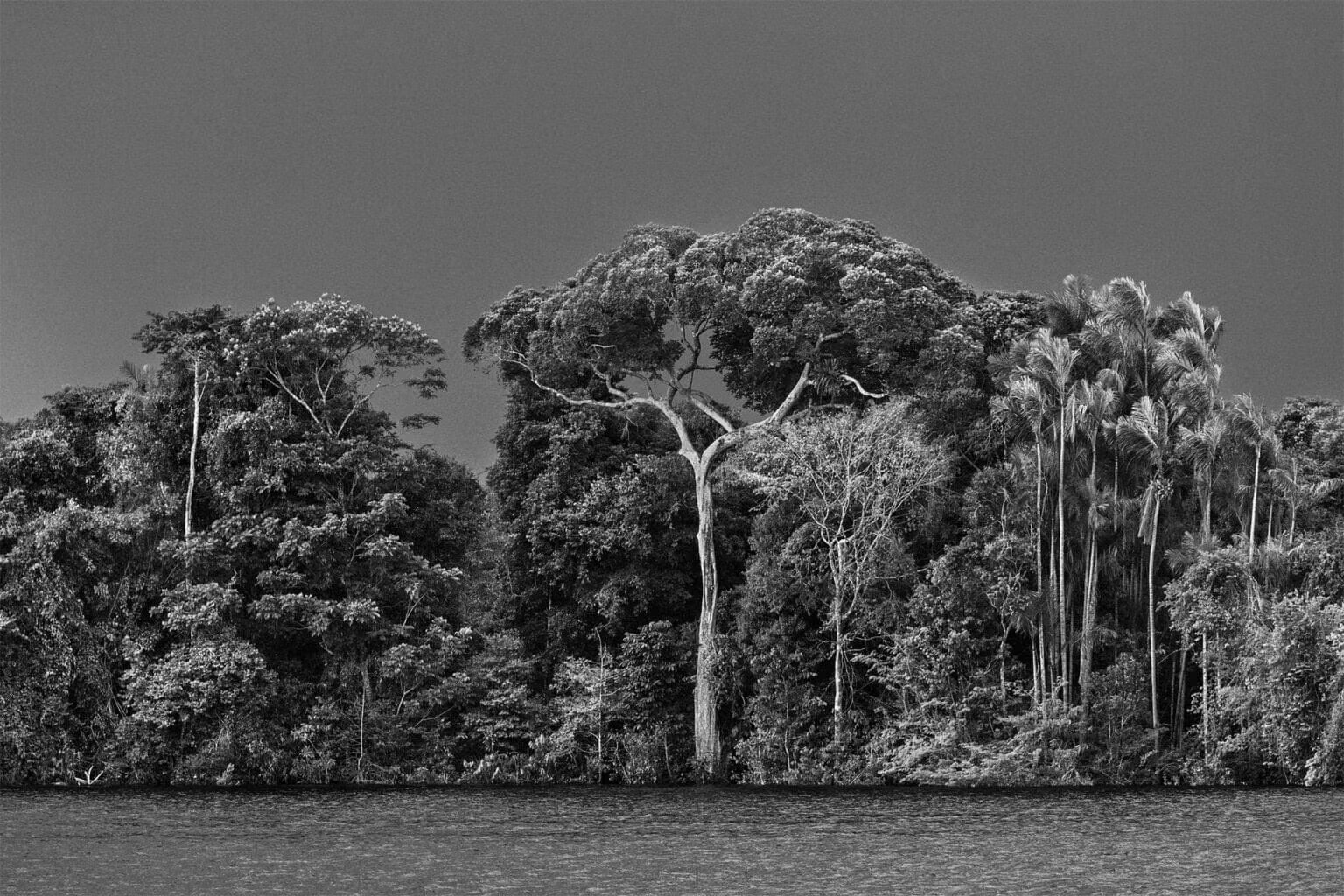 Sebastião Salgado — Amazônia