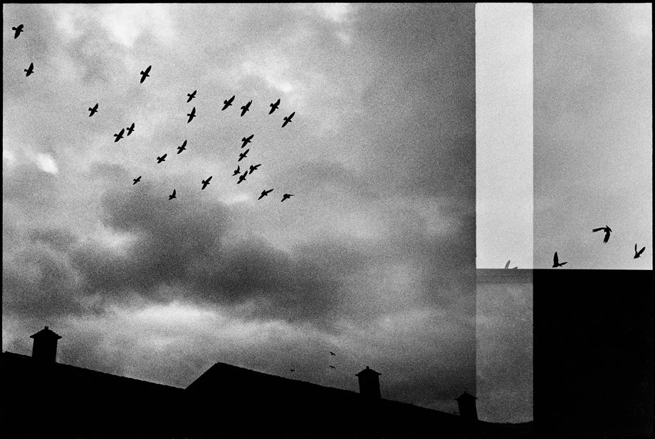 Machiel Botman — One Tree