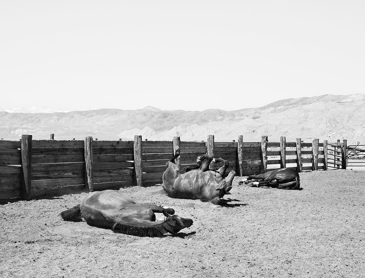 Sam Contis — Deep Springs
