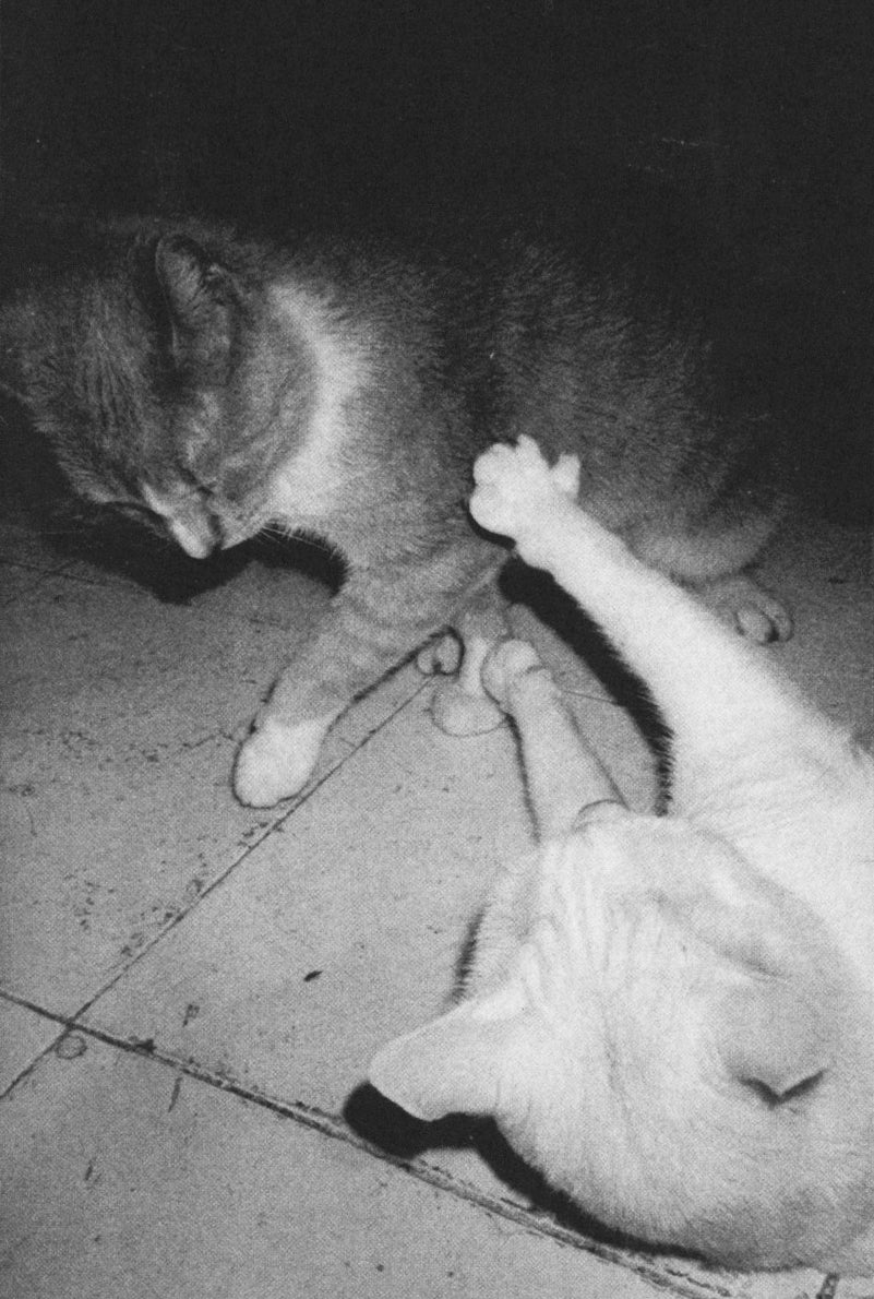 Dash Snow — Slime the Boogie