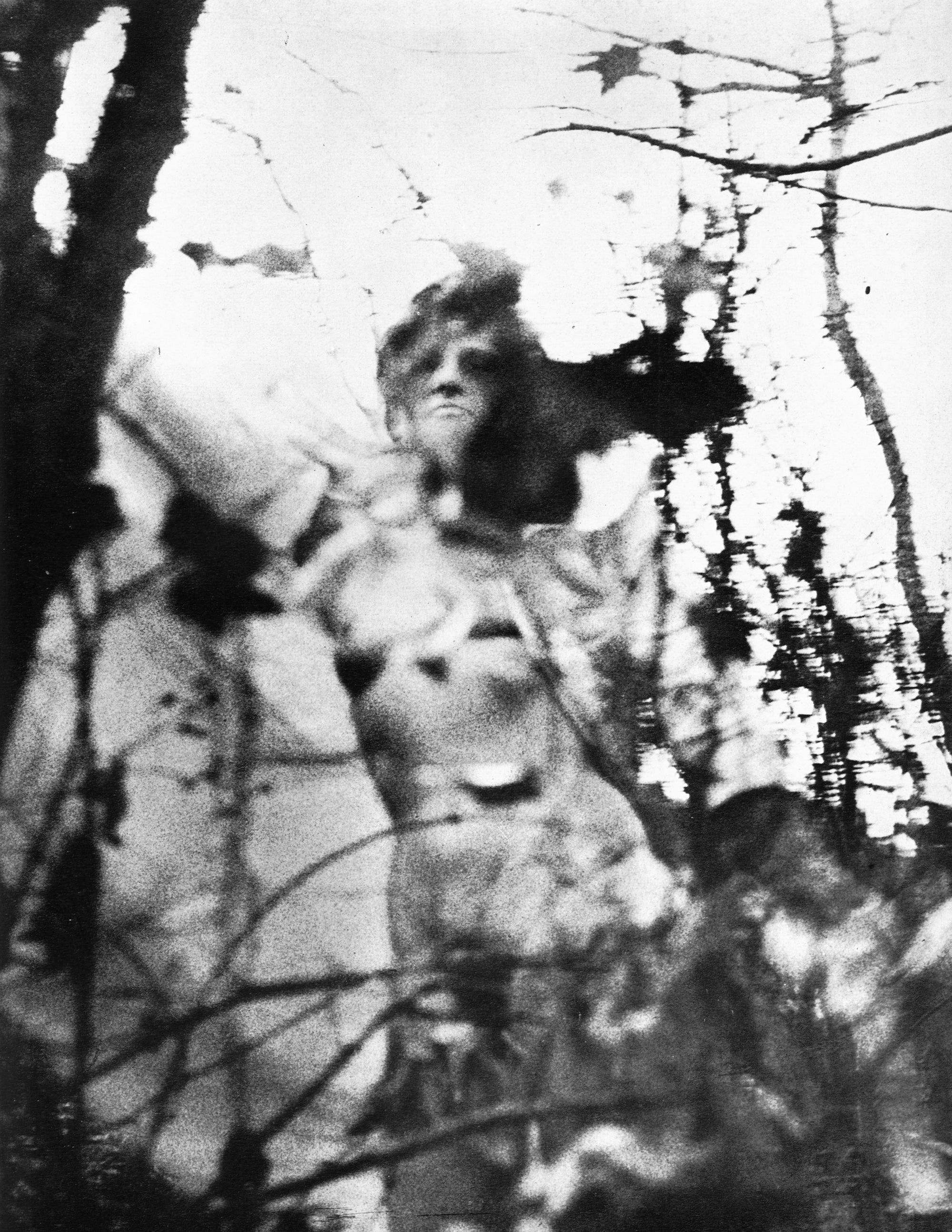 Sanne Sannes — Oog om Oog