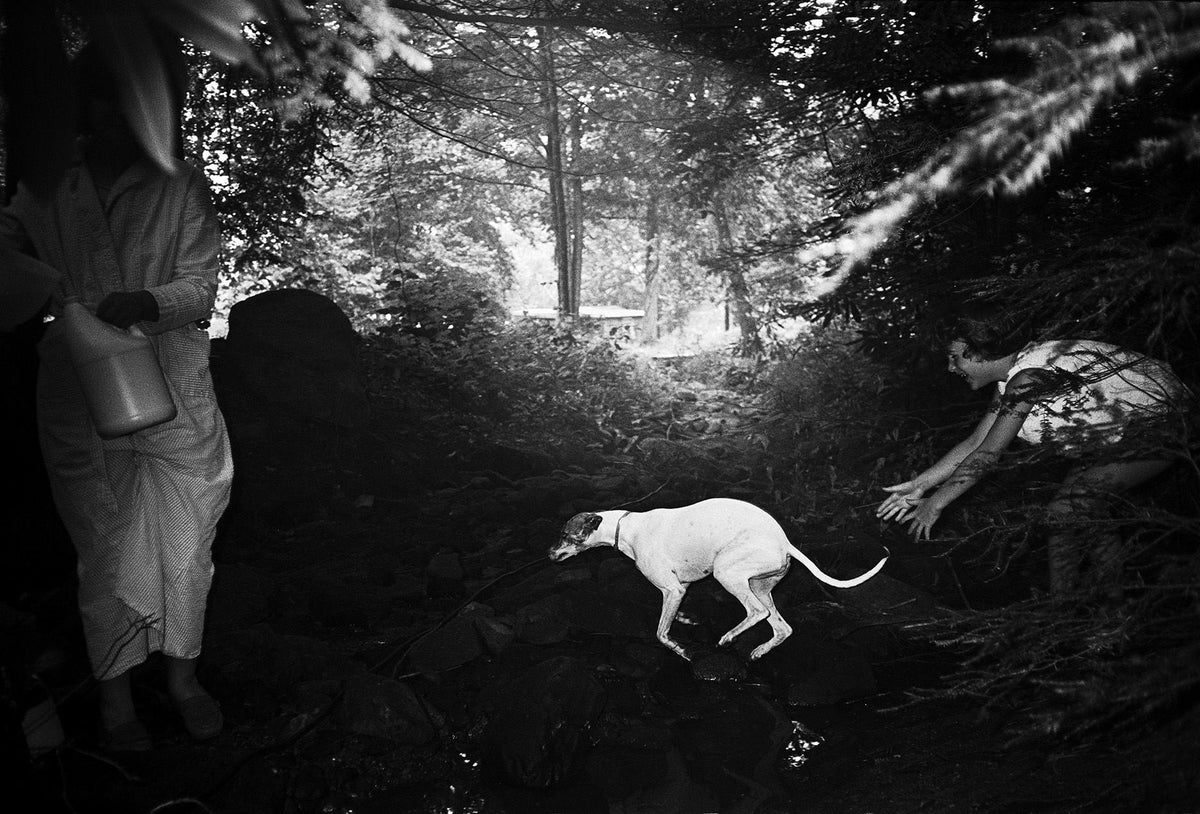 Bertien van Manen — Moonshine