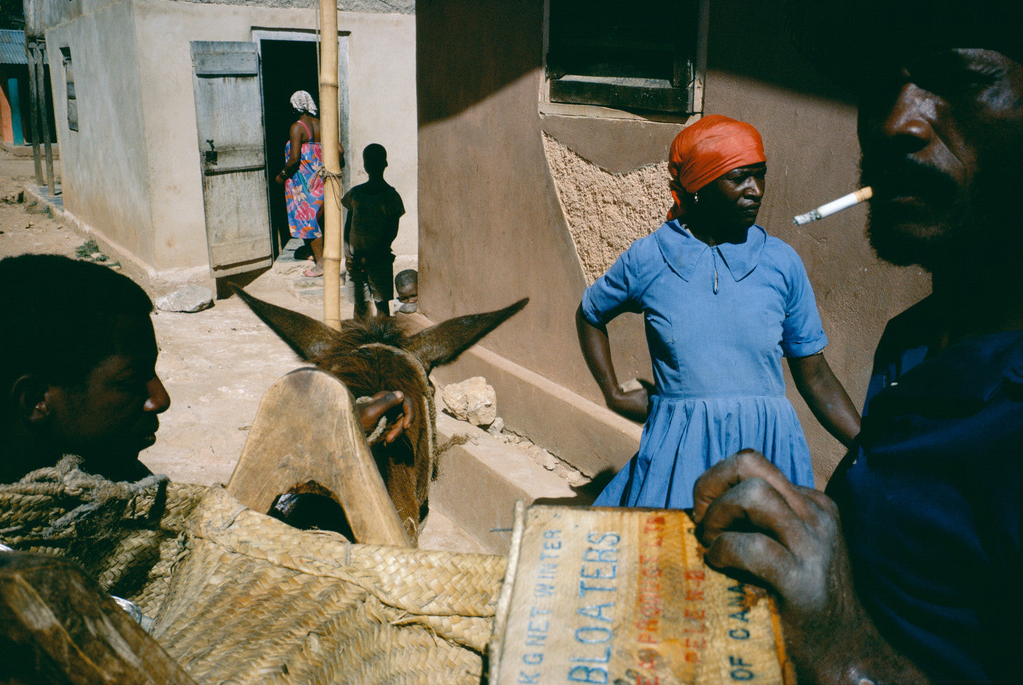 Alex Webb — Under A Grudging Sun