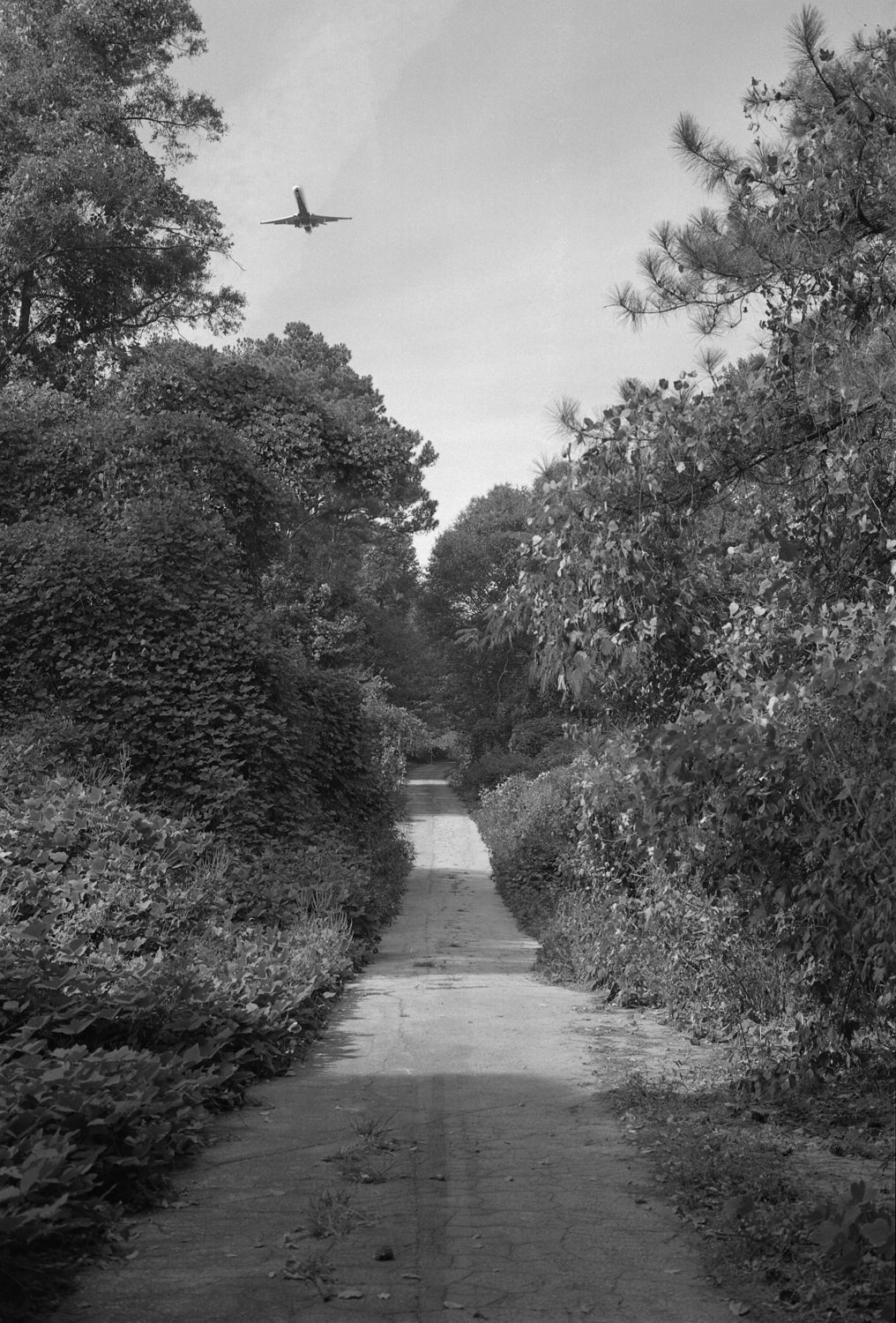 Mark Steinmetz — ATL