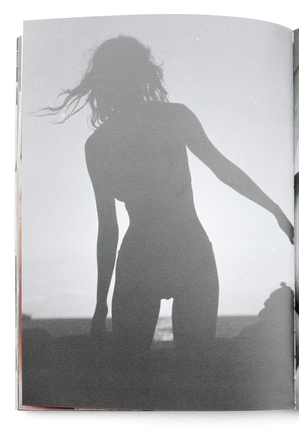 Henrik Purienne — Tasjaki