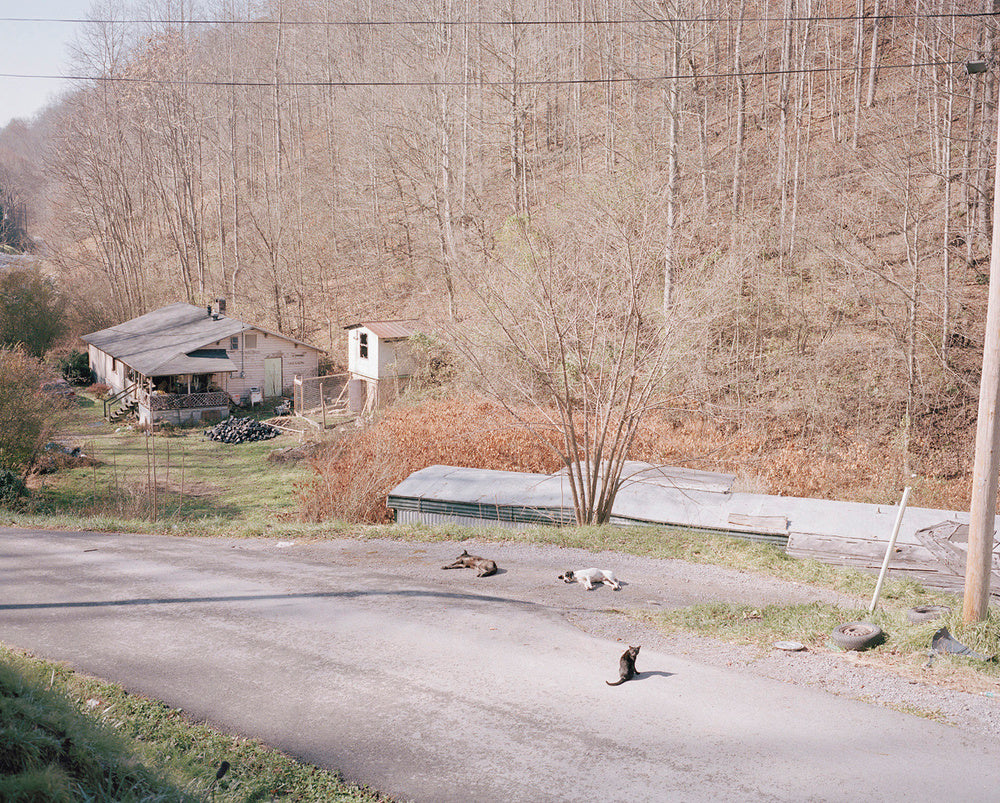 Hannah Modigh — Hillbilly Heroin, Honey