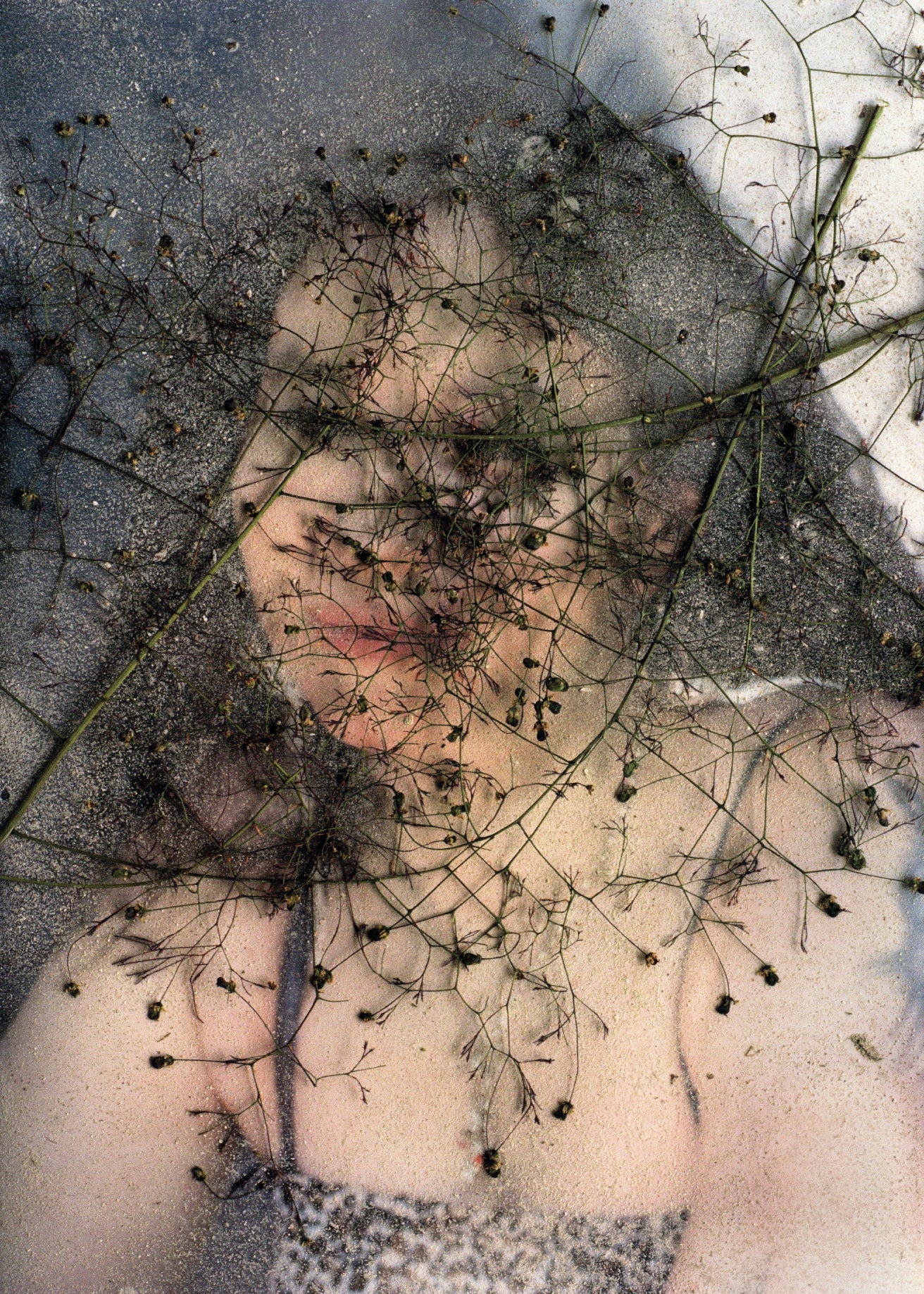 Stephen Gill — Coexistence