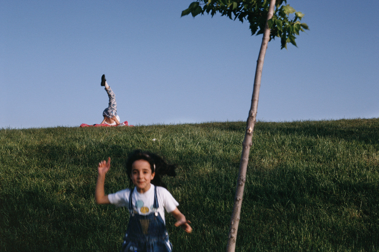 Alex Webb — Dislocations