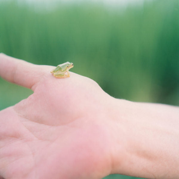Rinko Kawauchi — Illuminance, Ametsuchi, Seeing Shadow