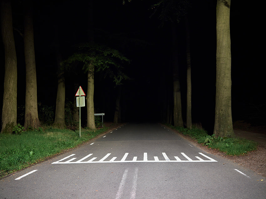 Henk Wildschut — Territorium