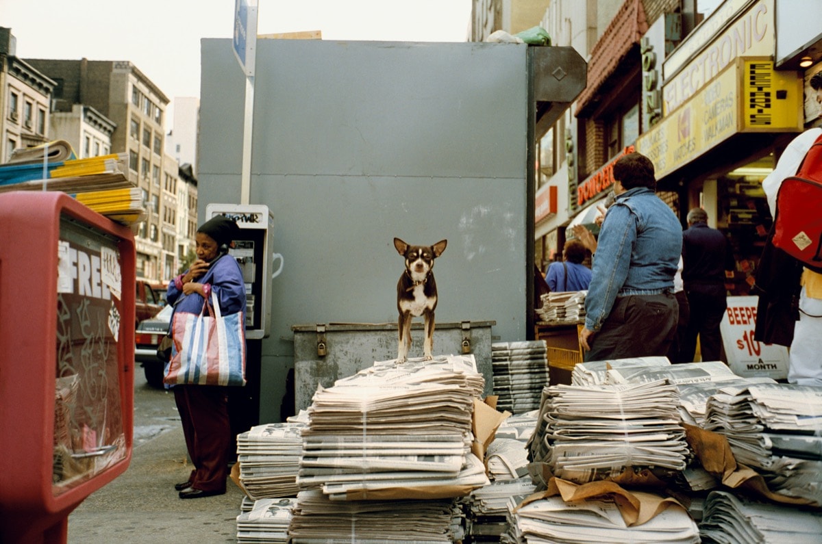 Jeff Mermelstein — SideWalk