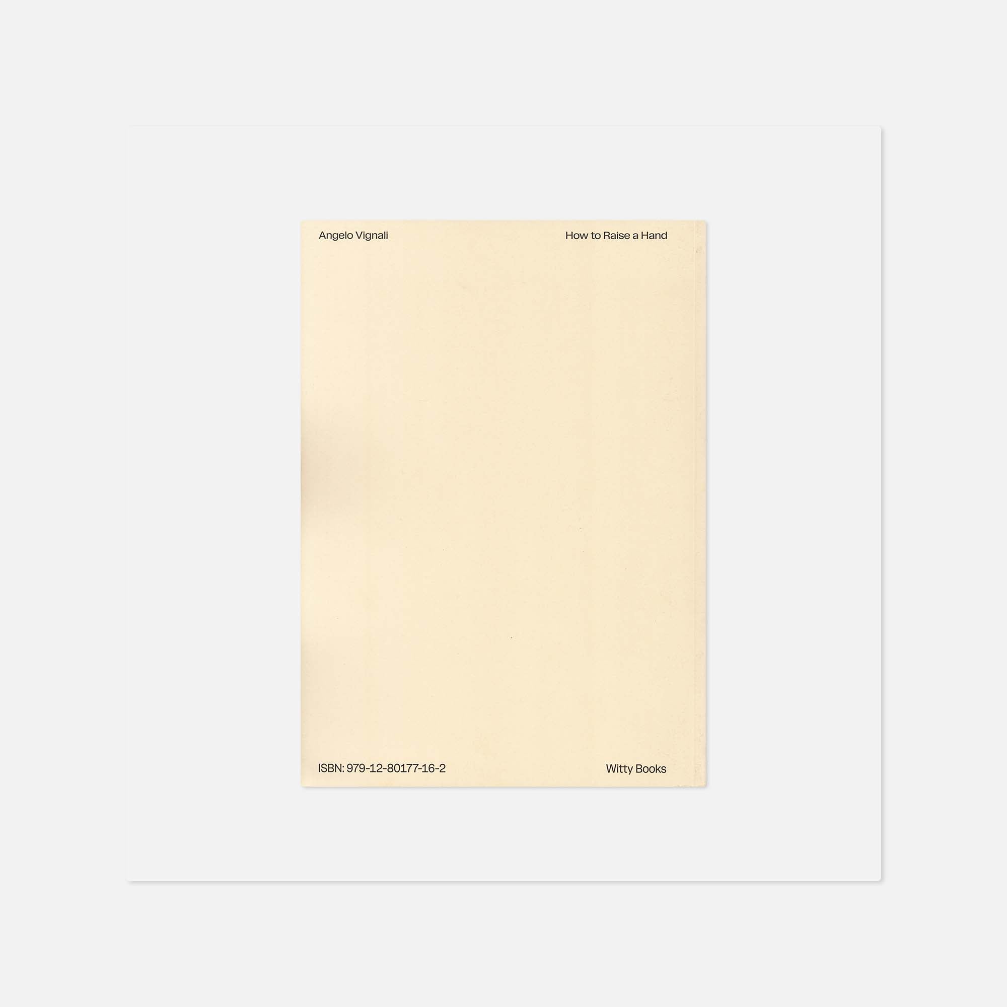 Angelo Vignali — How to Raise a Hand