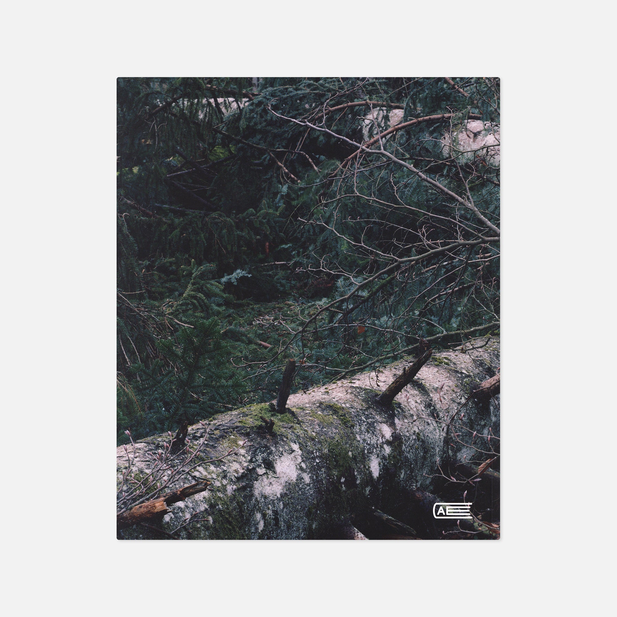 Tonatiuh Ambrosetti — Gaia, 2003-2018
