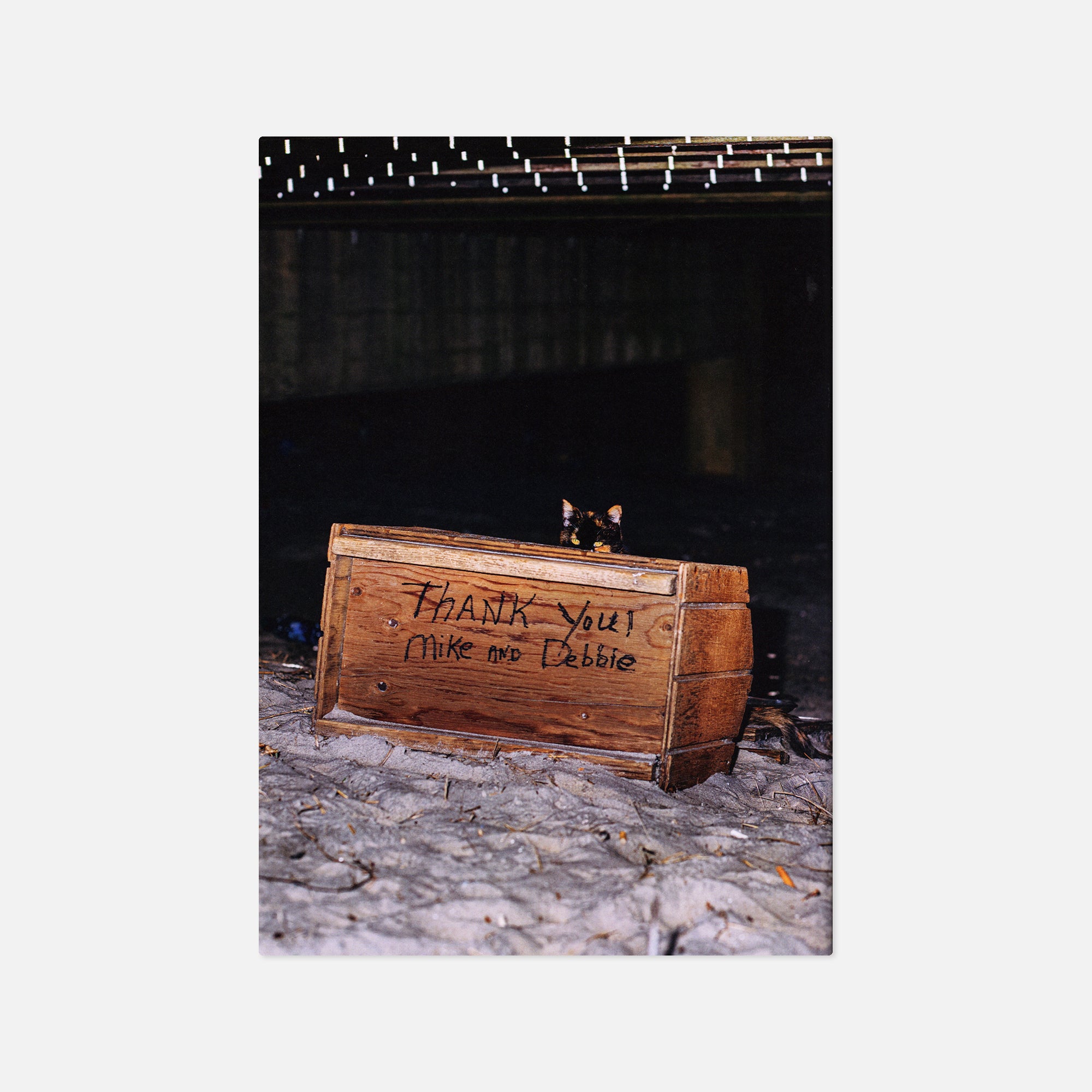 Nikita Teryoshin — Backyard Diaries Vol. 3: Atlantic City