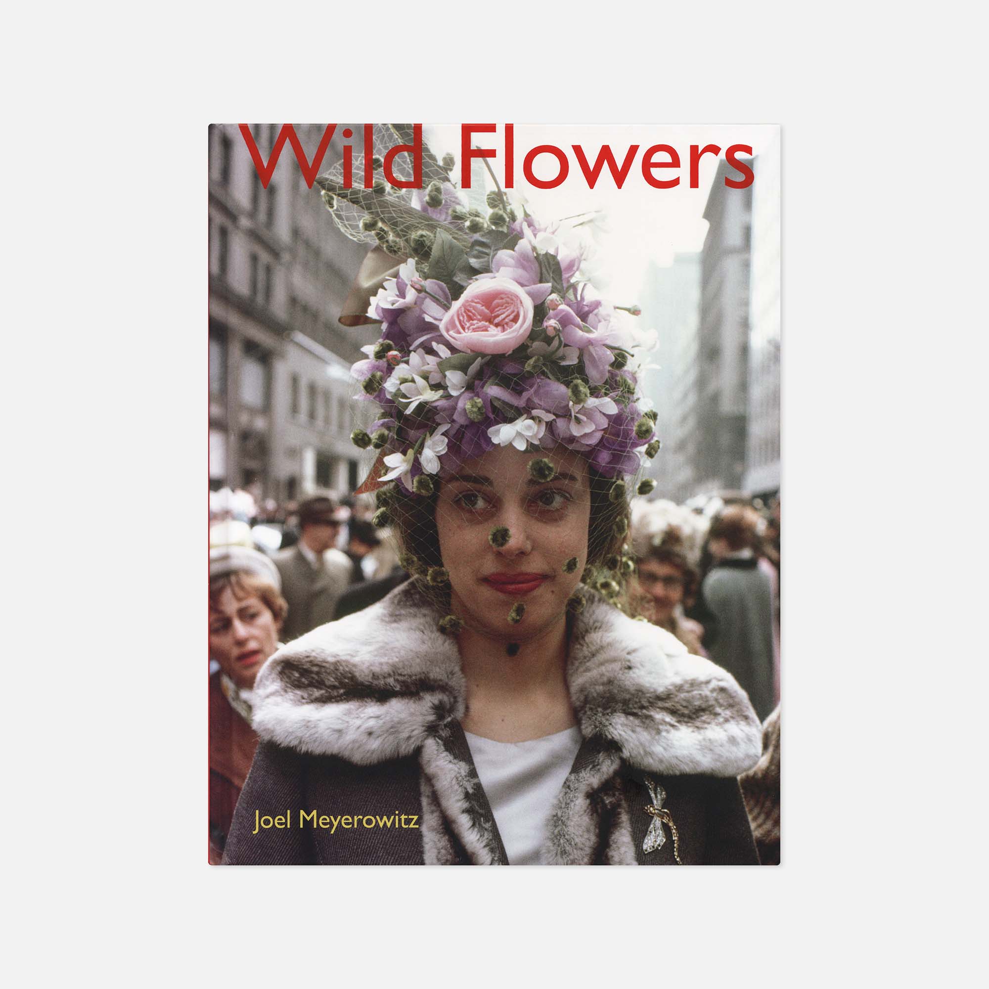 Joel Meyerowitz — Wild Flowers
