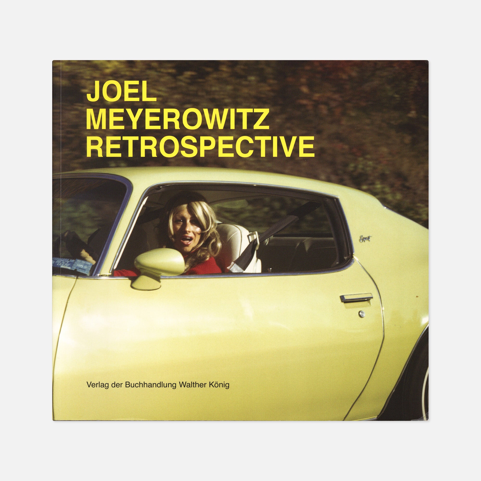 Joel Meyerowitz — Retrospective