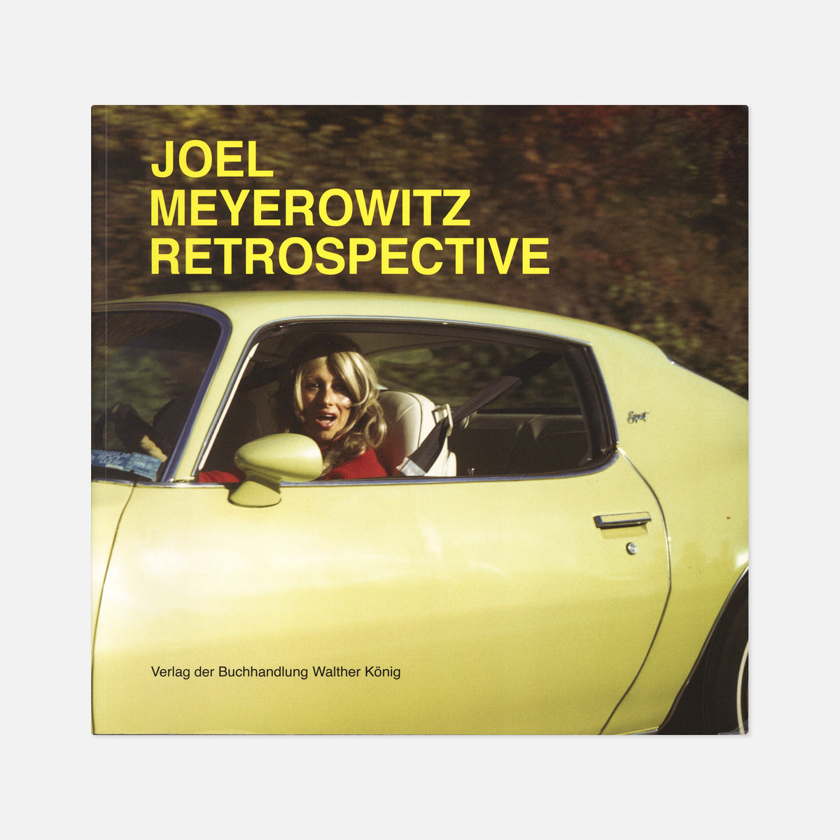 Joel Meyerowitz — Retrospective – Wolf Books