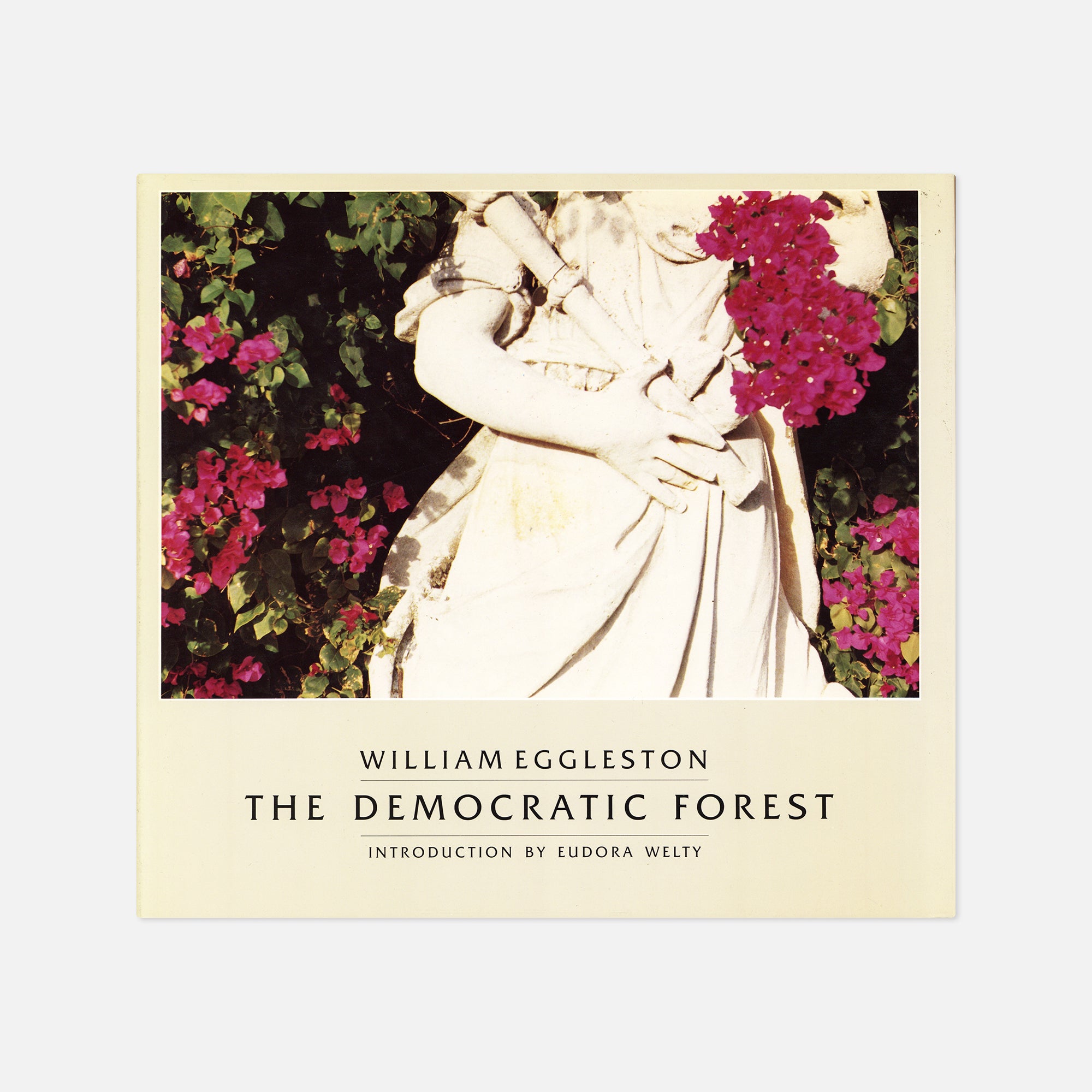 William Eggleston — The Democratic Forest