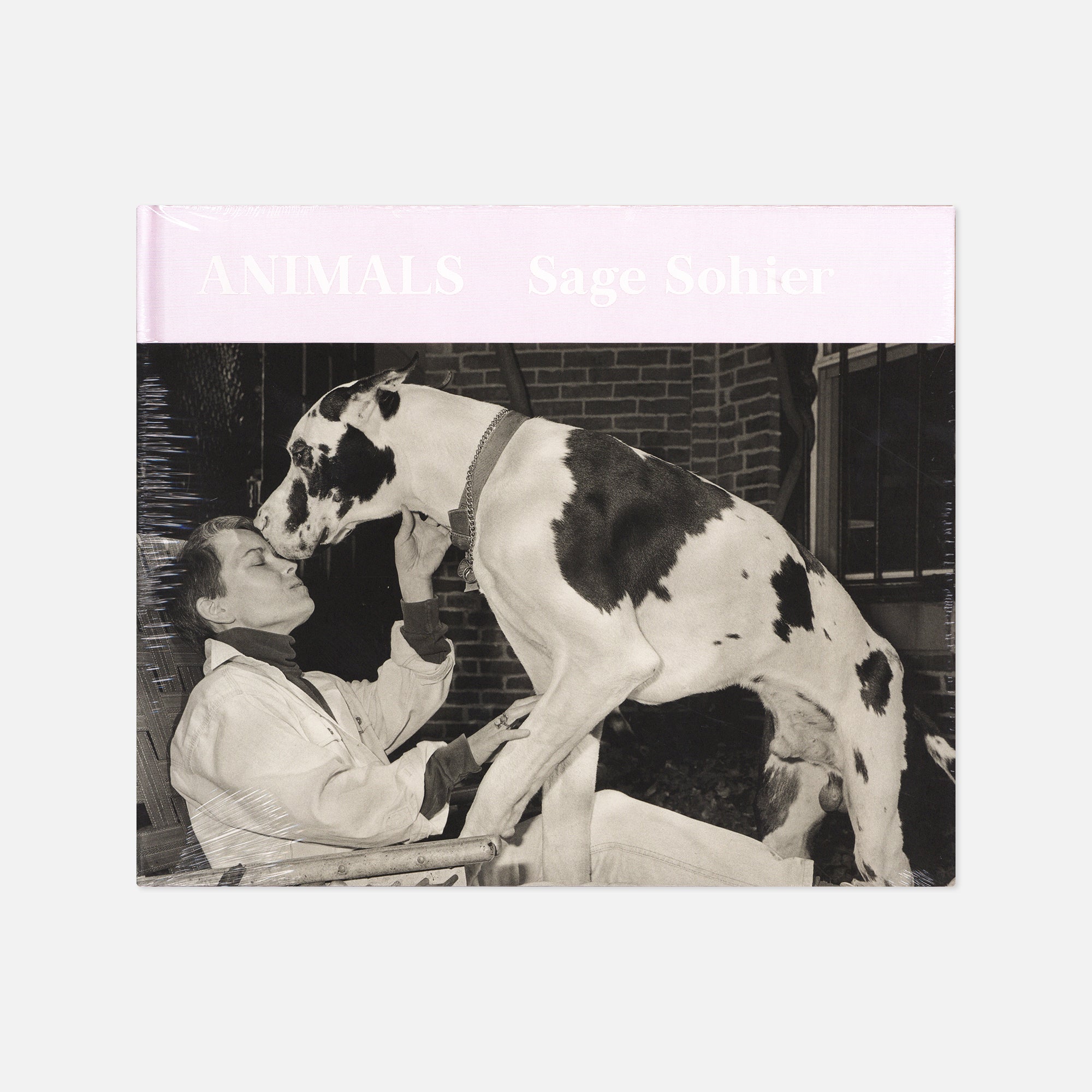 Sage Sohier — Animals