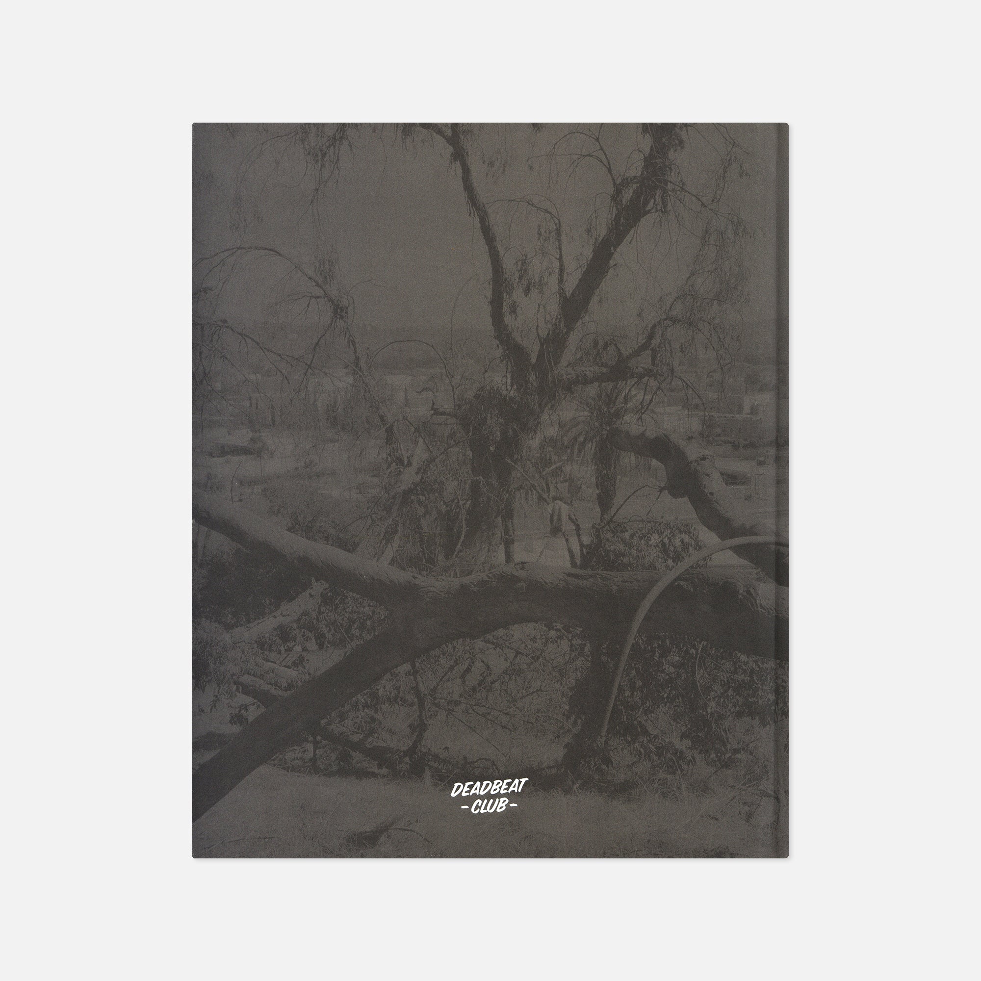 Virginia Wilcox — Arboreal