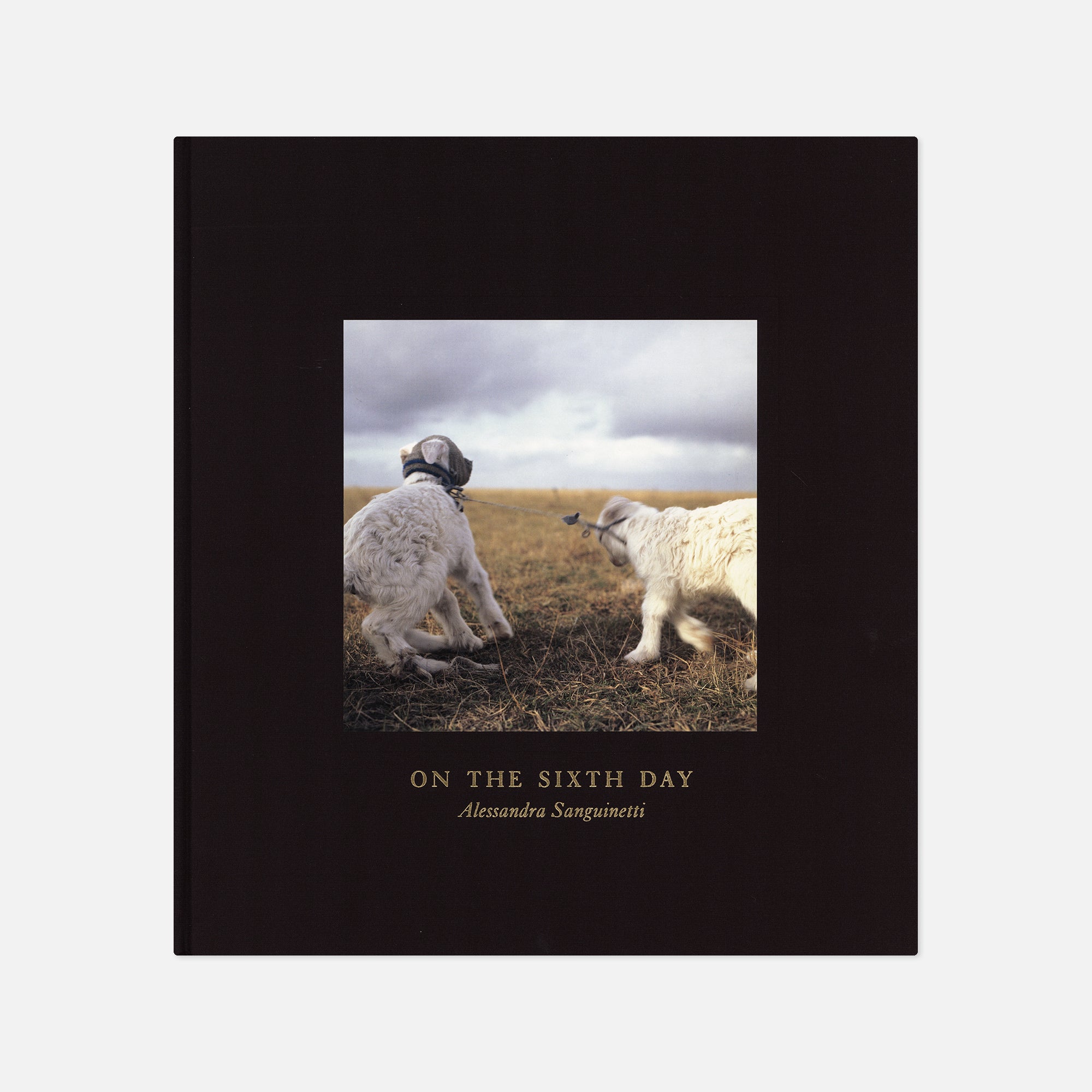 Alessandra Sanguinetti — On The Sixth Day