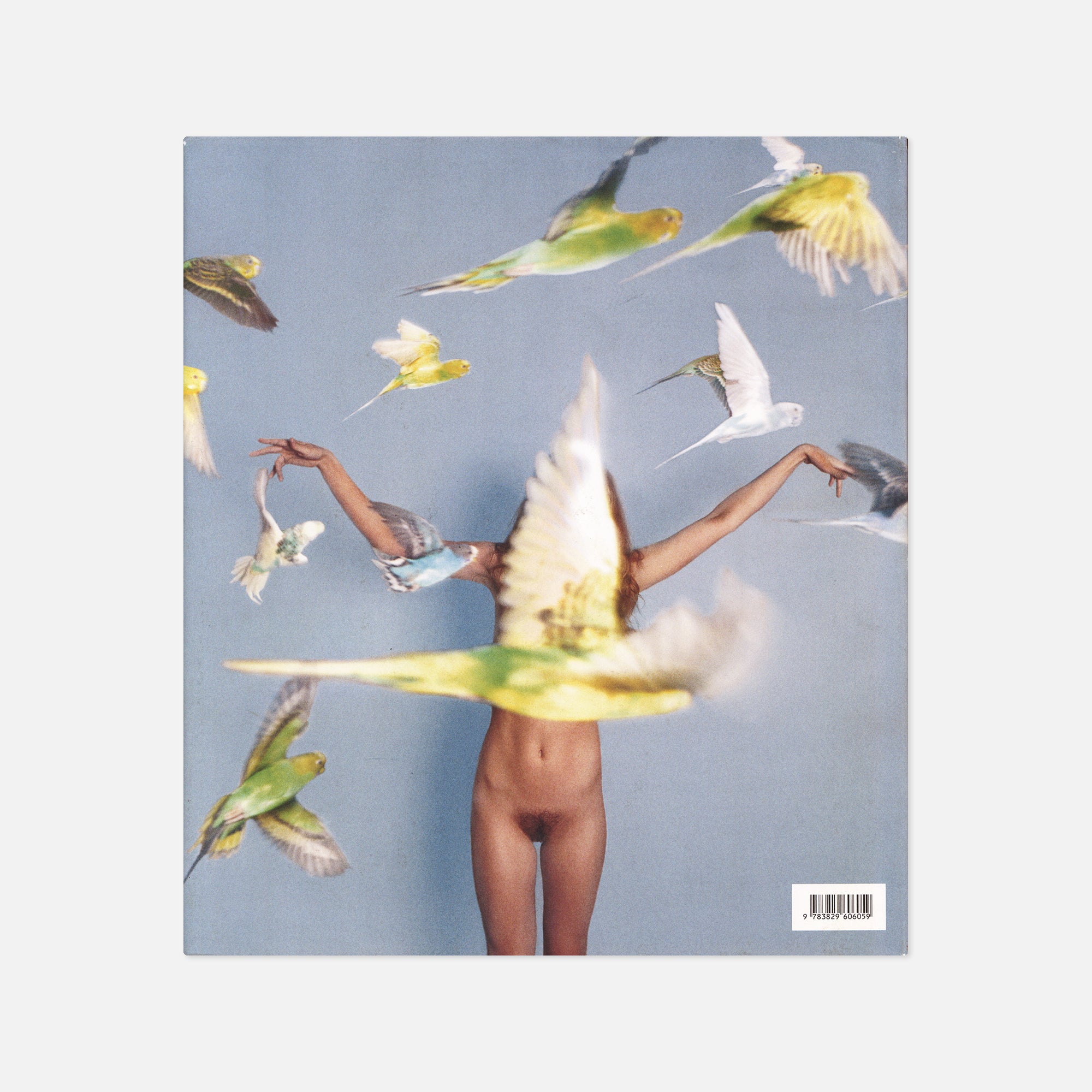 Ryan McGinley — Whistle for the Wind