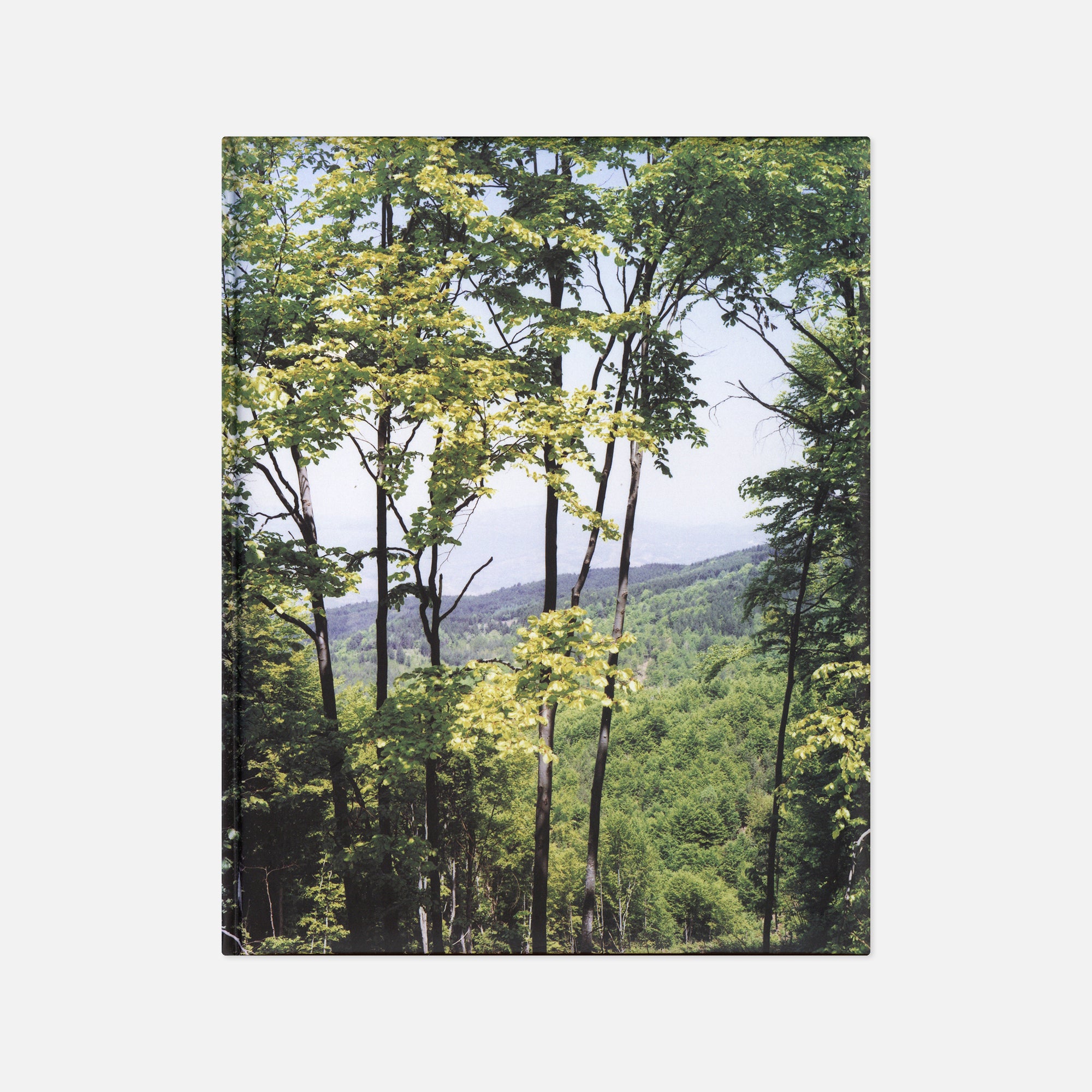 Cuny Janssen — Macedonia