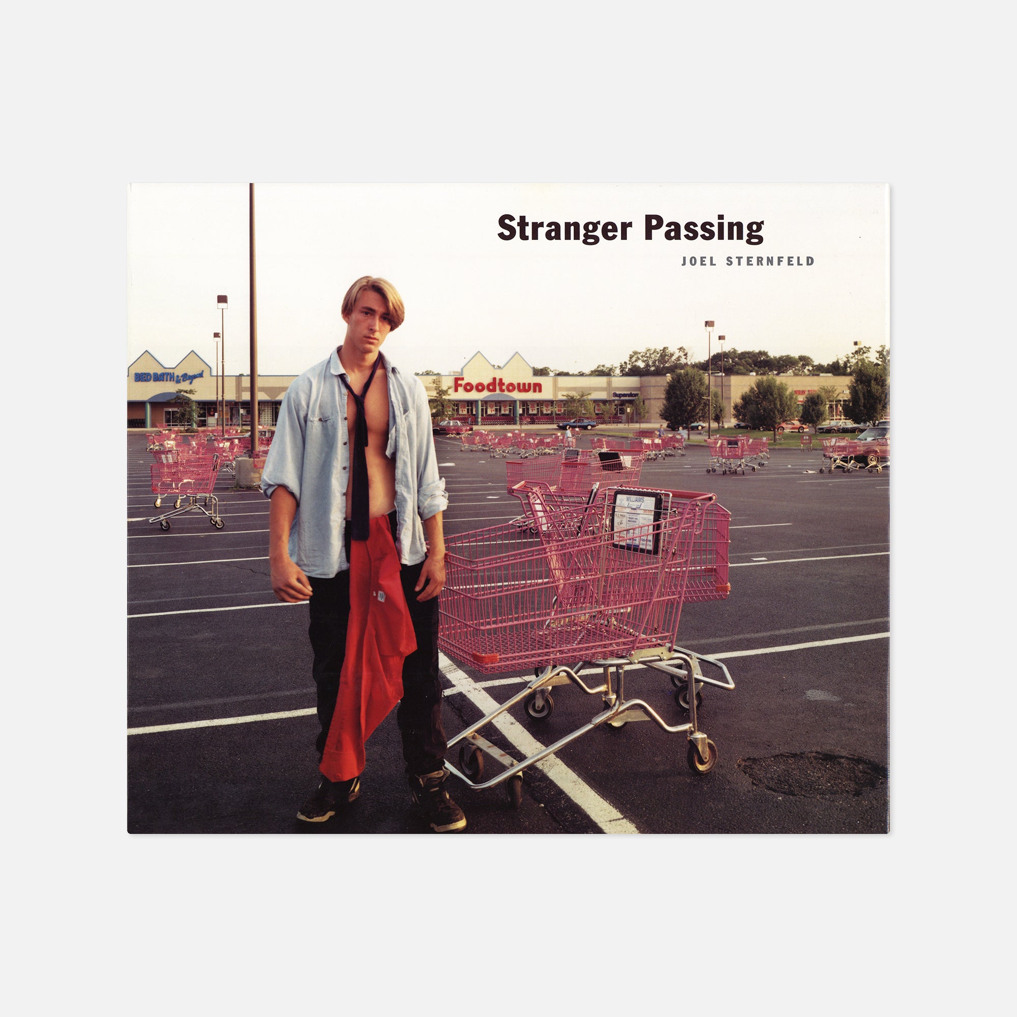 JOEL STERNFELD STRANGER PASSING 写真集 Stranger Passing Second Revised Edition | Joel Sternfeld