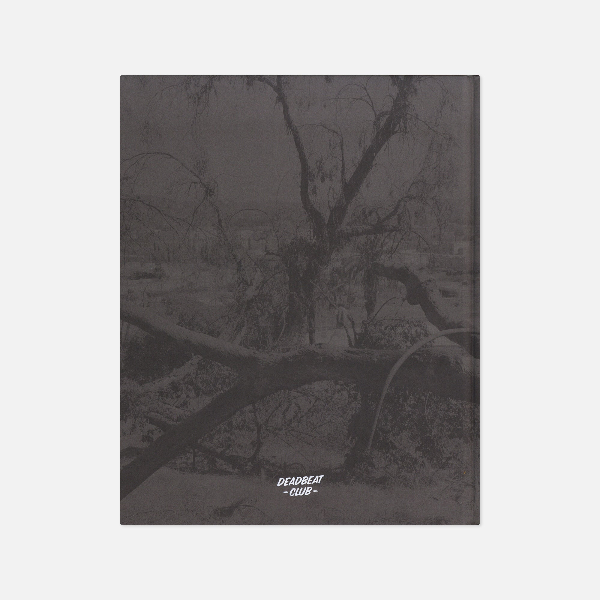 Virginia Wilcox — Arboreal